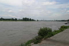 IMG_20190525_120439
